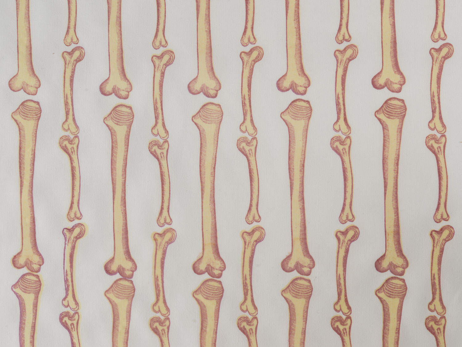 Bones
