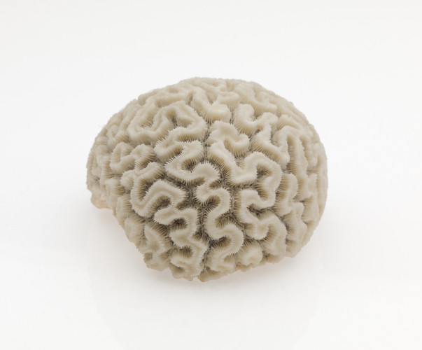 Sculpture by Carl Fredrik Reuterswärd.