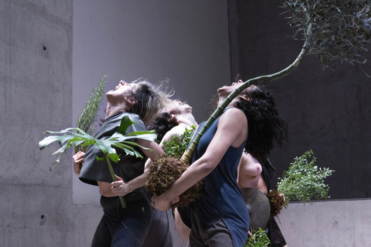 People and plants in choreography.