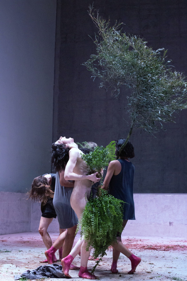 People and plants in choreography.