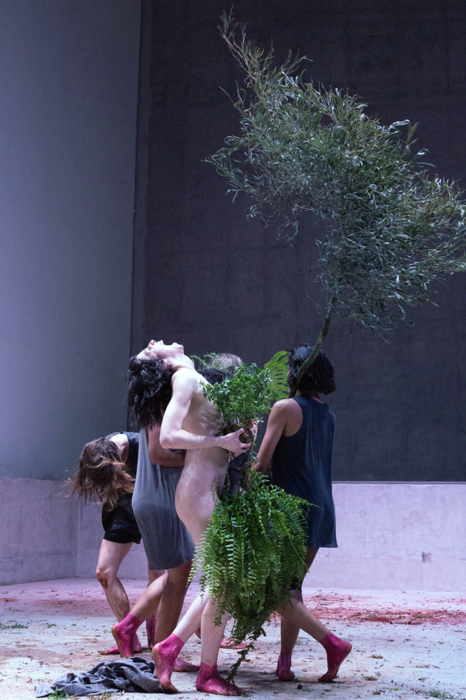 People and plants in choreography.