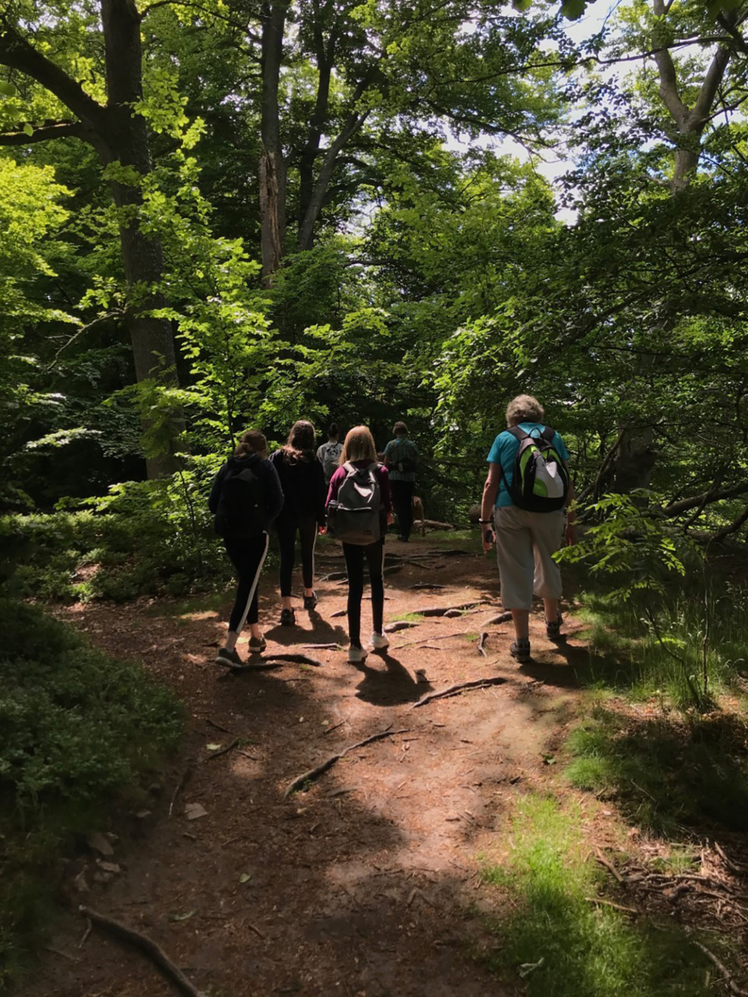 People walking in wood