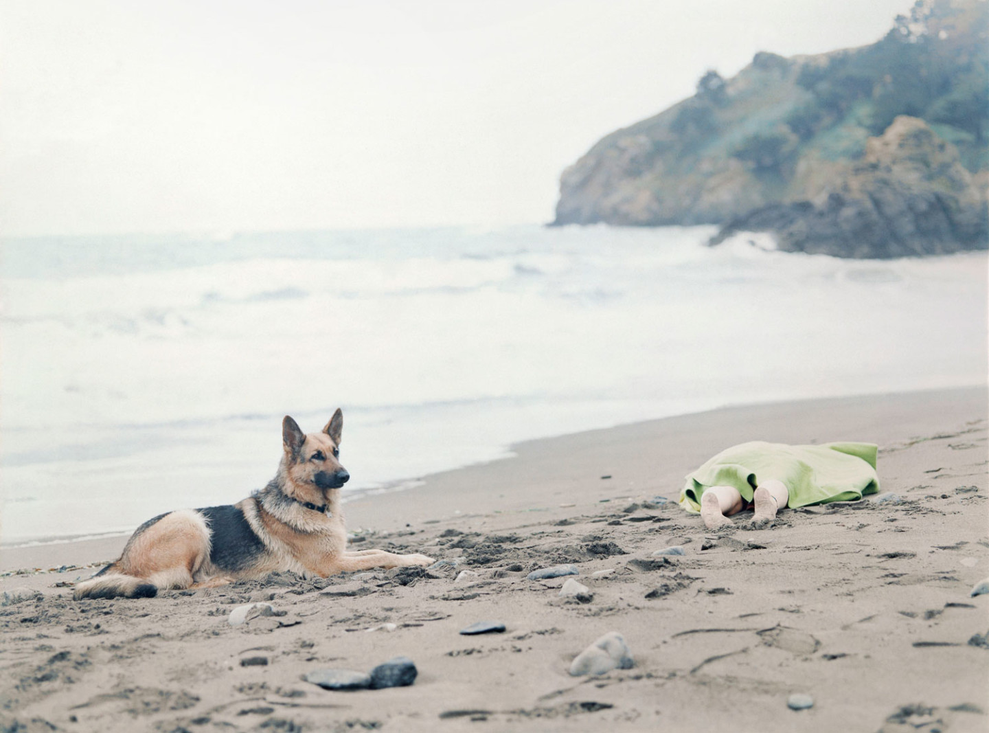 En hund som ligger på en strand bredvid en kropp i sanden