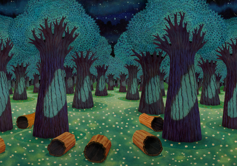 Bild föreställande en skog