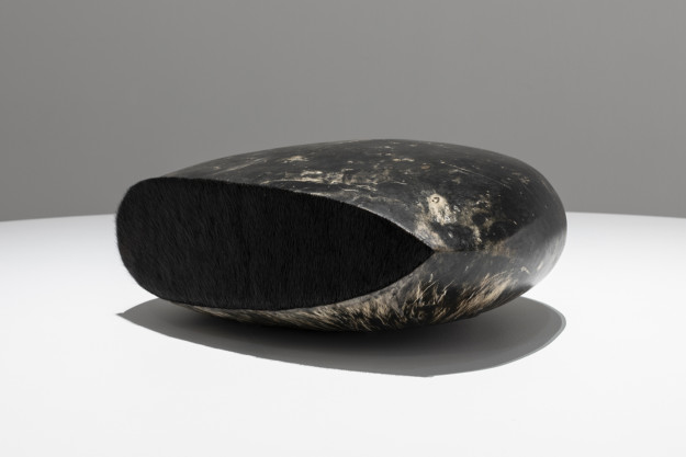 Foto me mörkt objekt liggande på vitt podie