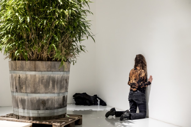 person och växt i ett rum