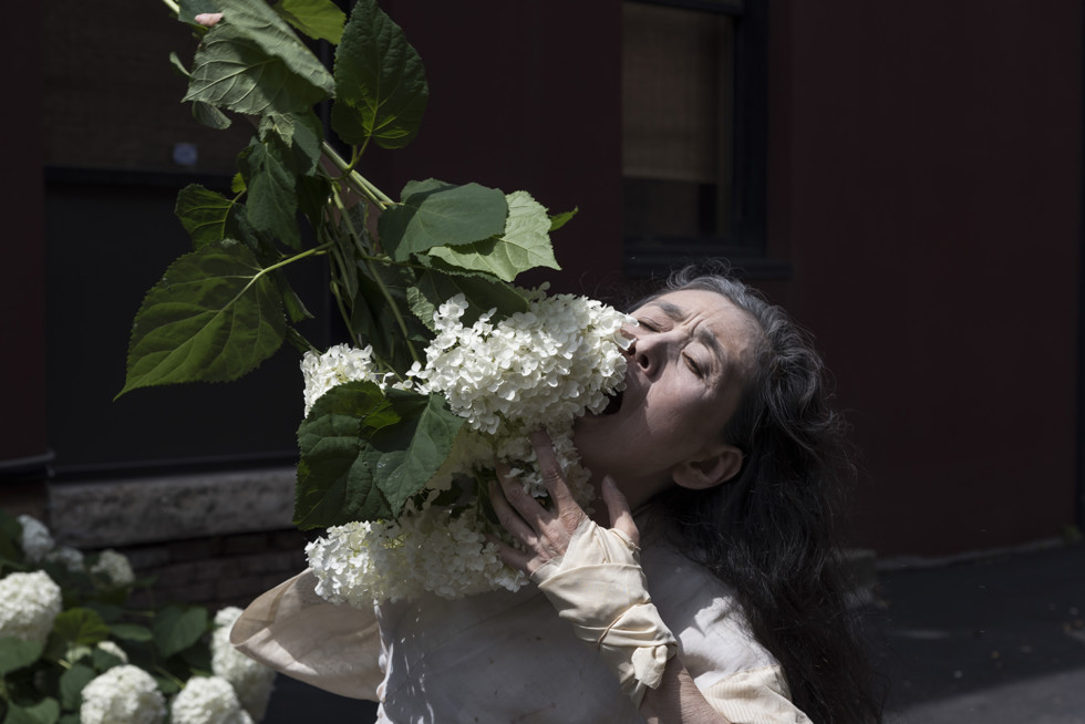 foto av kvinna i vitt med vita blommor