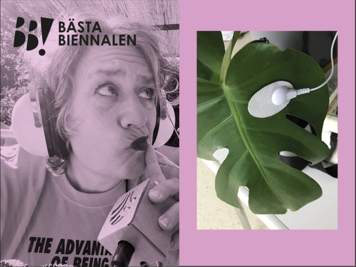 fotocollage med kvinna och växt och text