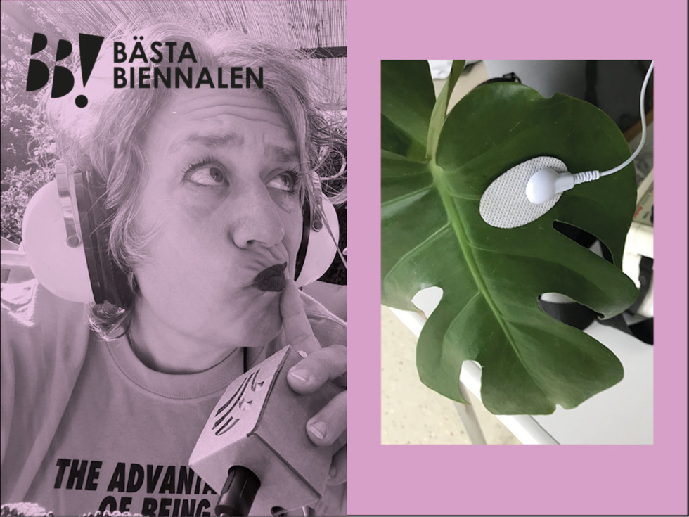 photo collage with woman and plant and text