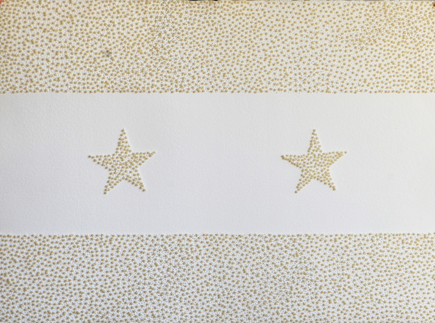 embroydered image with stripes and stars