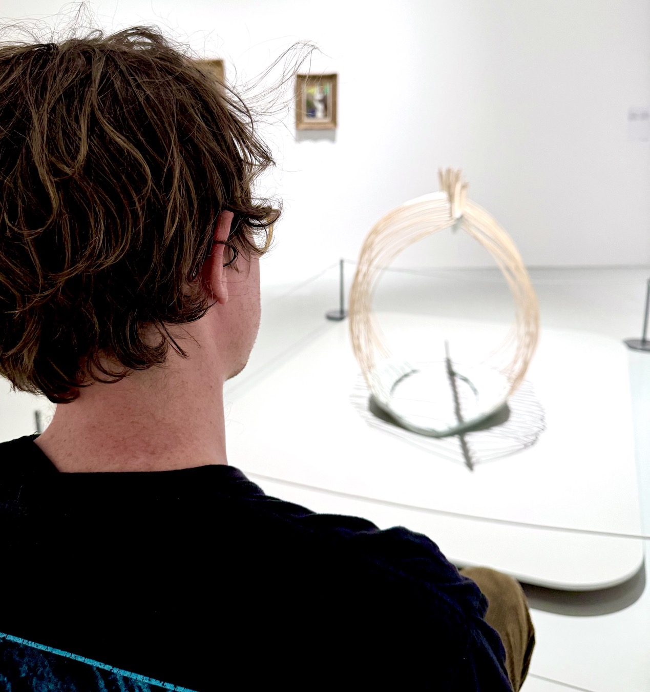 person looking at artwork