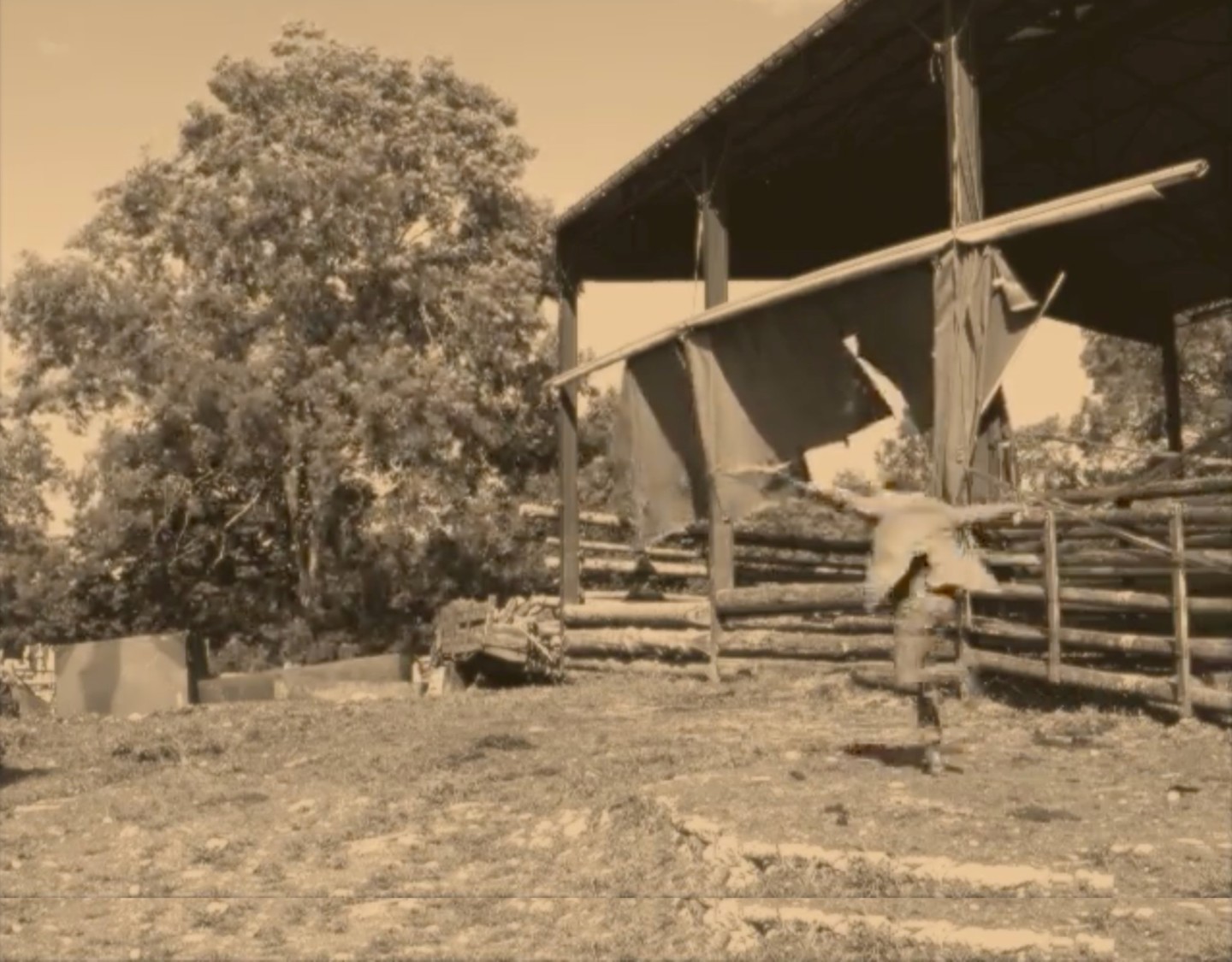 stillbild från video med springande barn träd och byggnad
