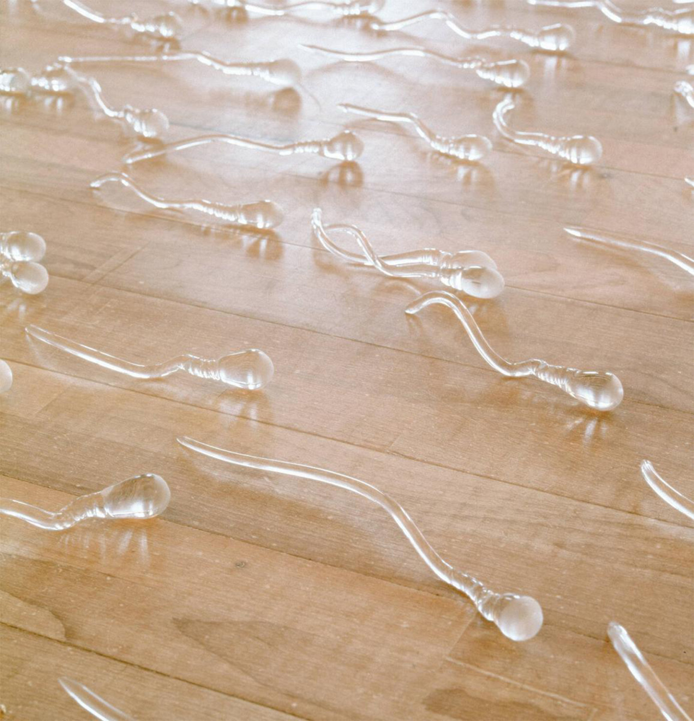 glass sculptures in form of sperm