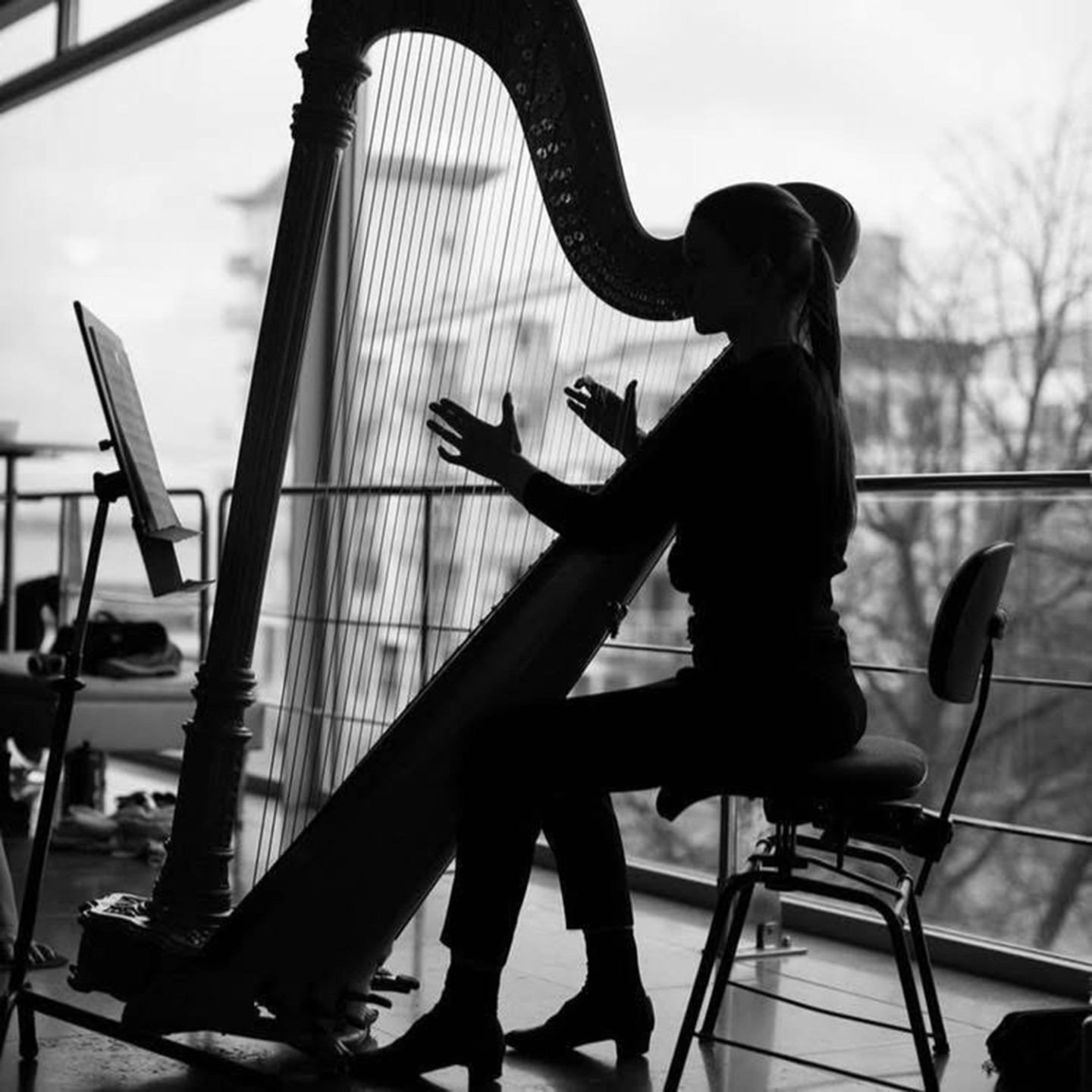 woman playing the harp