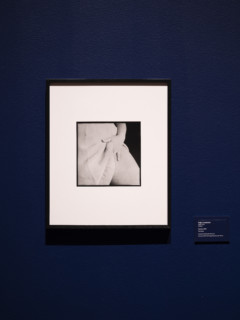 Fotografi av konstverket Handen, hängt på en mörkblå vägg