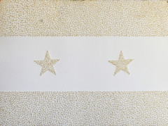 embroydered image with stripes and stars