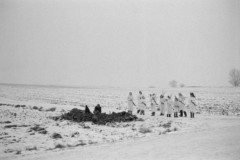 personer klädda som lucior i vinterlandskap