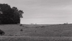 foto av barn på kulle