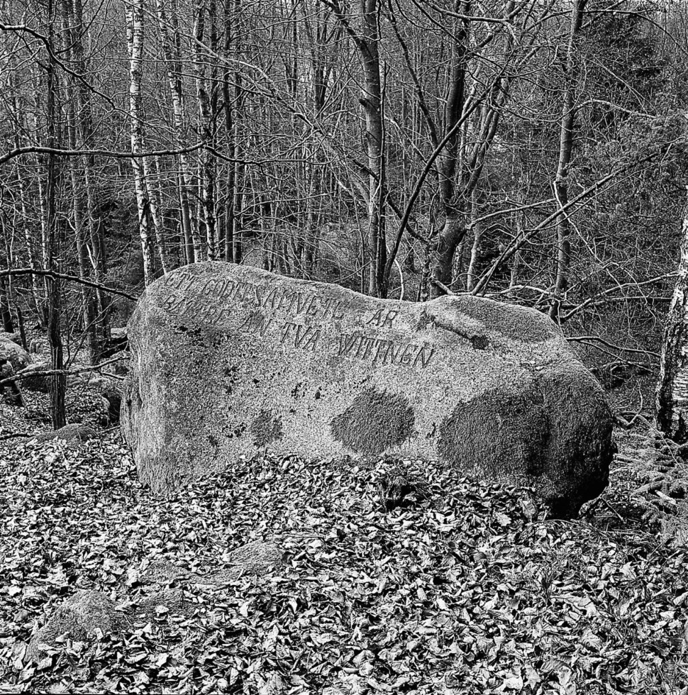 Bexells stenar – ett undangömt monument