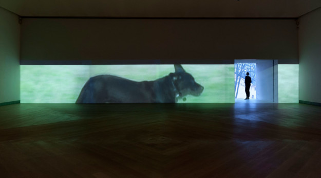 Intallation view Moderna Museet 2012 