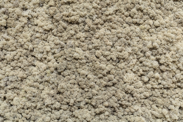 Installation view, Moderna 