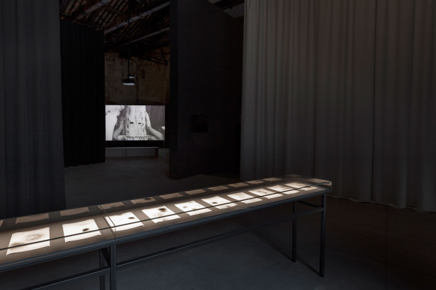 Venedigbiennalen, Lina Selander