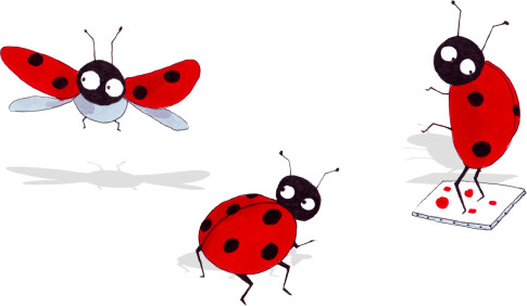 Ladybird, others, miscellaneous, child, artwork png