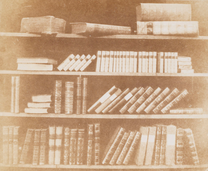Four Shelves of Books