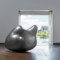 Sculpture Coupe de nuage (Cloud Bowl)