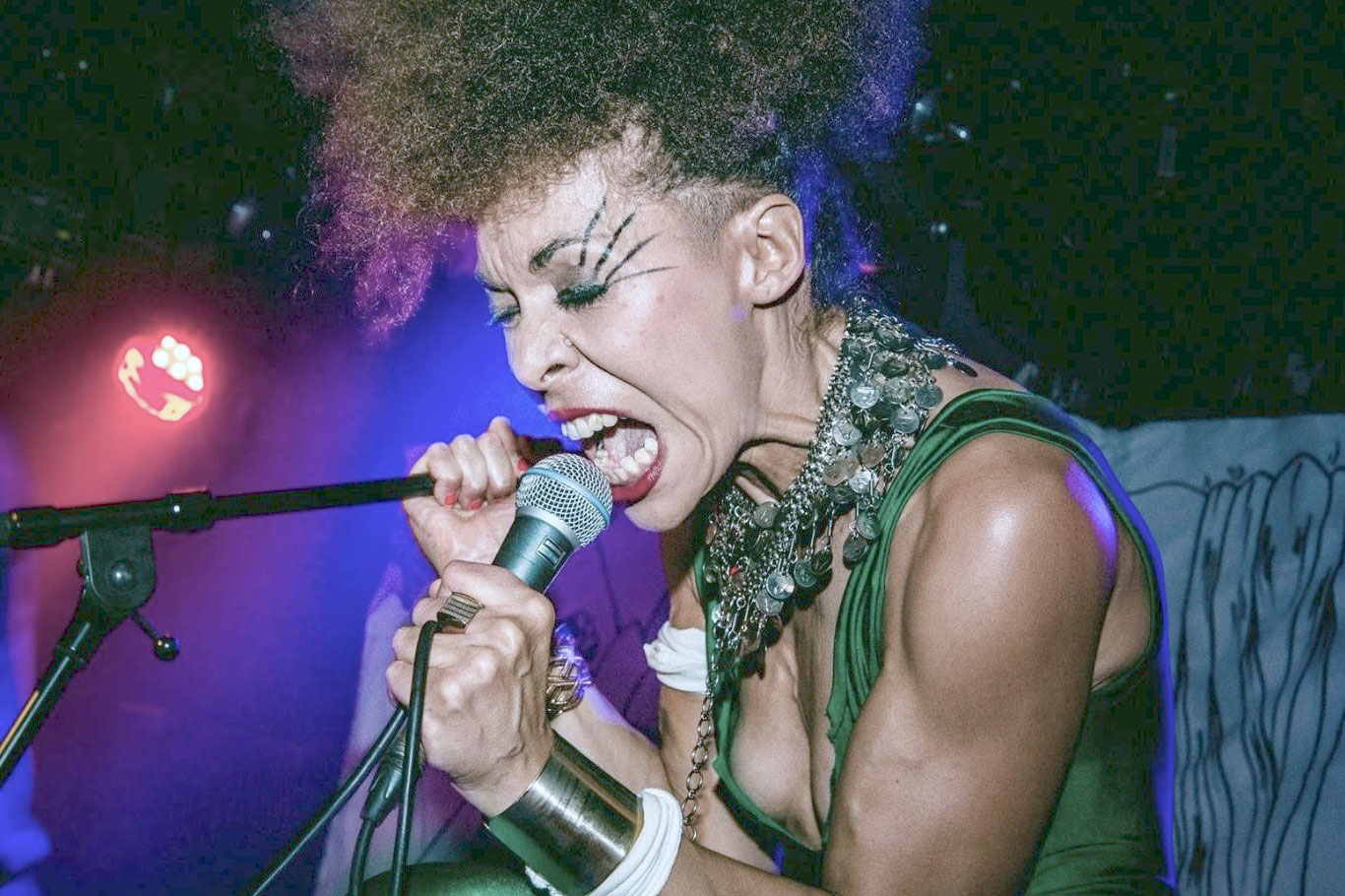 Valerie Renay with microphone