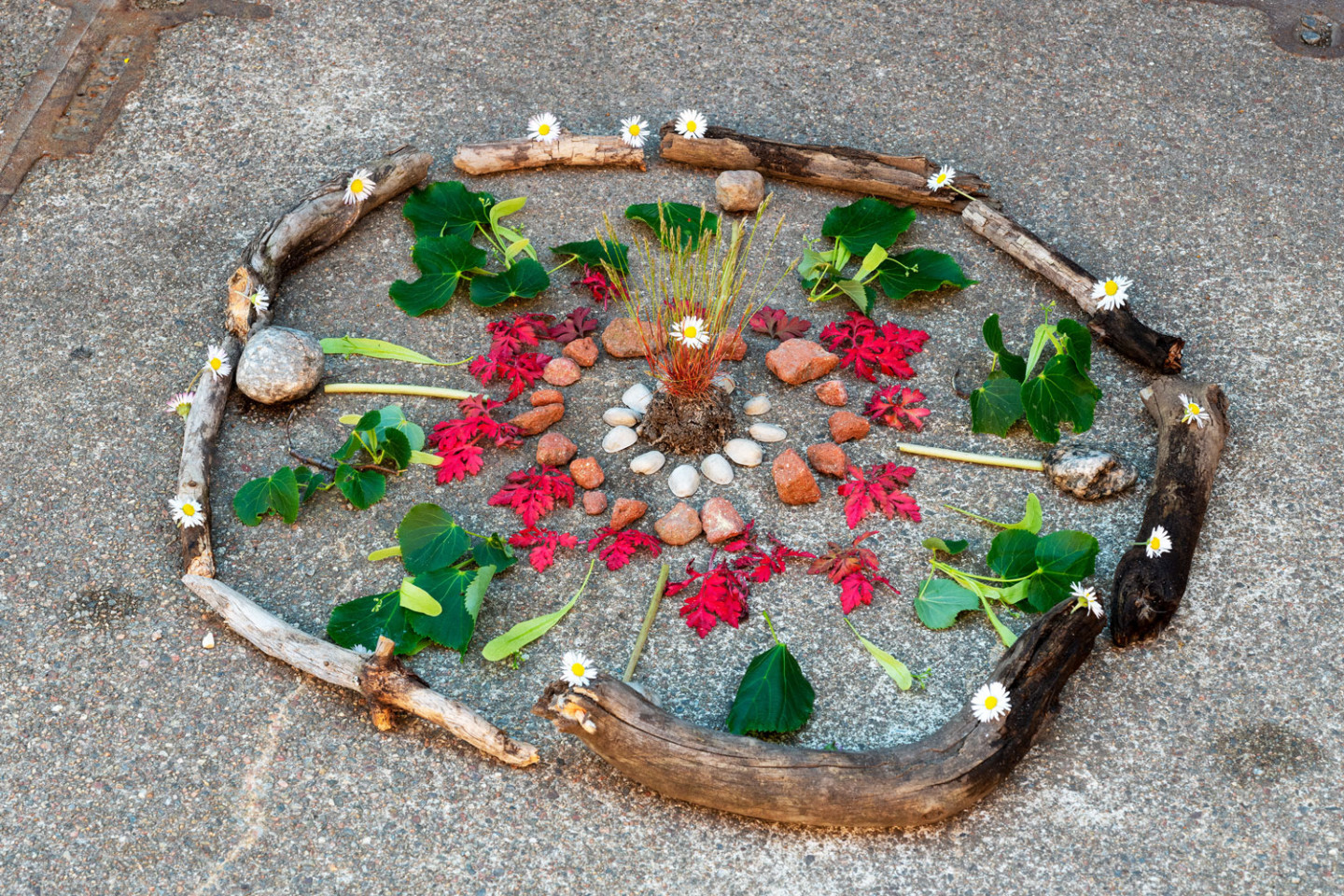 Small stones, shells, read and green leafs and sticks in a ring with a tuft of grass in the middle.