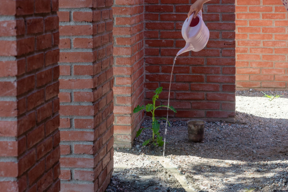 A stream of water flows from a watering can.