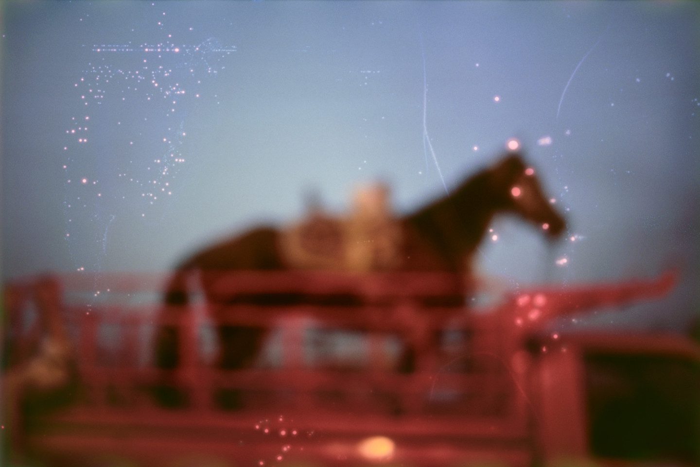 A horse against a blurred foreground