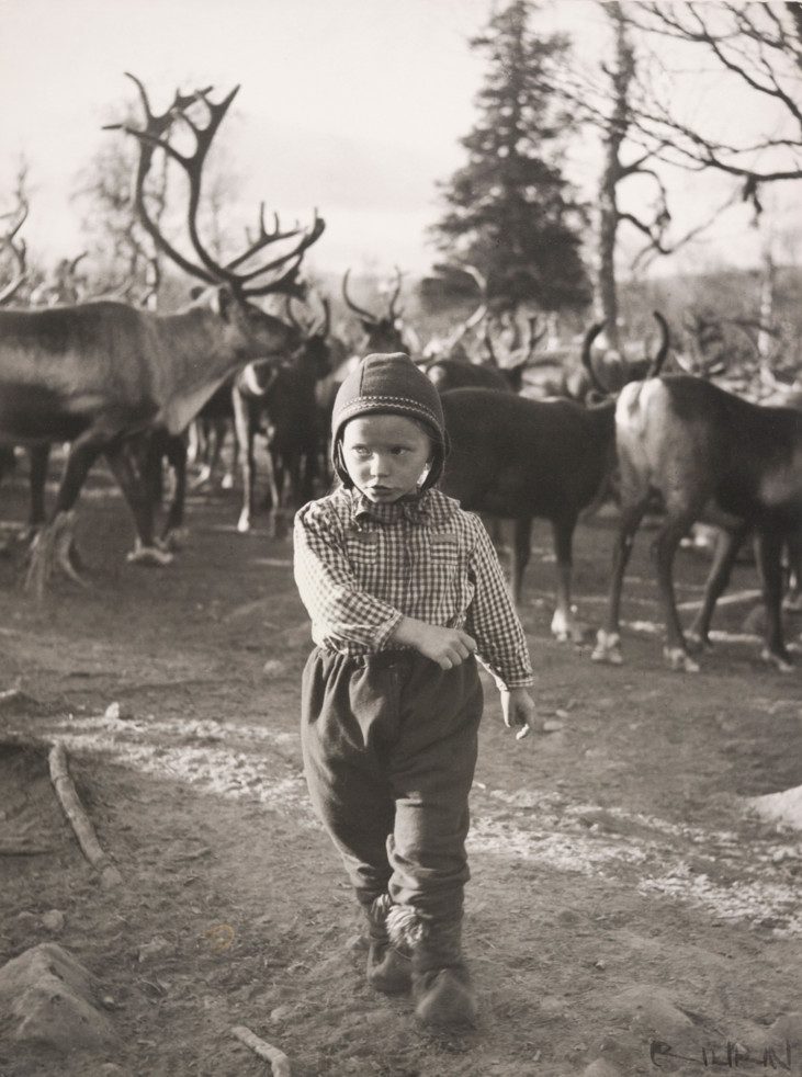 a small child among reindeers