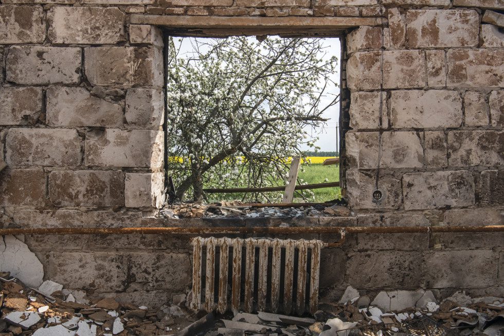 Fotografi med utsikt genom ett utbombat fönster mot en grönskande äng och ett körsbärsträd.