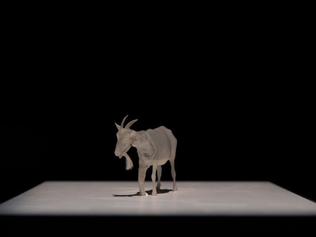 Photo of the artwork ARK – All the Animals