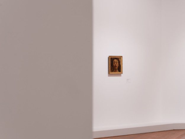 Installation view "A Divided Life"