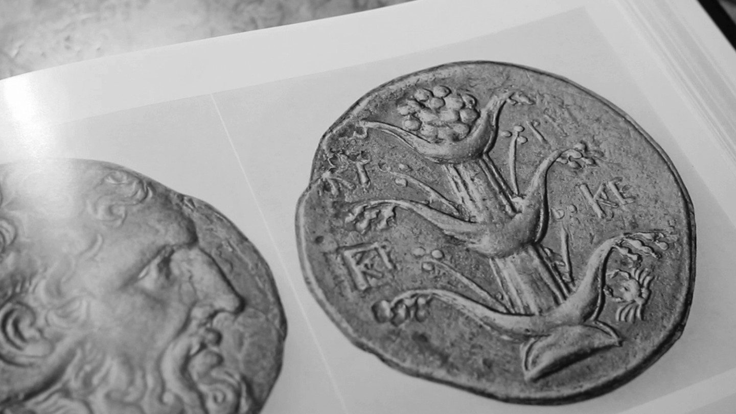 film still from "Silphium",  image of an image in a bookpage of an old coin with a plant printed on it