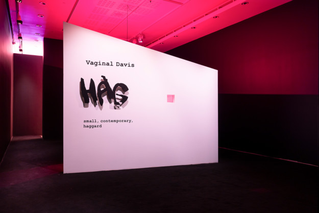 Installation view from the room "HAG – small, contemporary, haggard". A White box placed in the middle of the exhibition room reads "Vaginal Davis, HAG – small, contemporary, haggard"