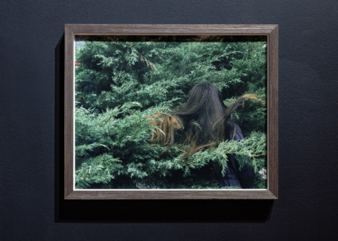 photo of picture with woman hair in green branches