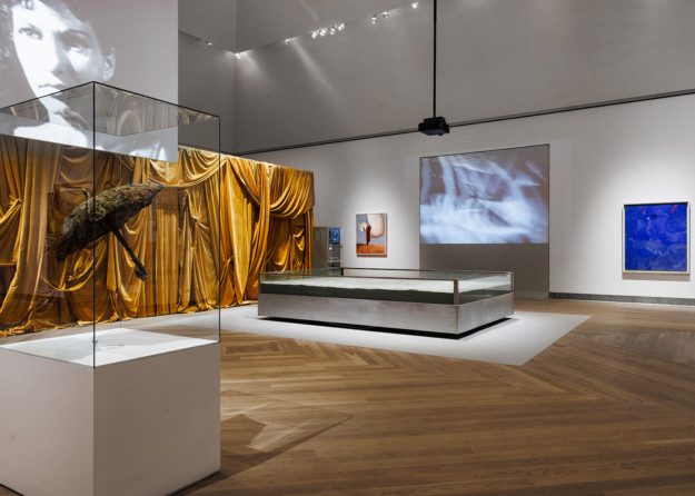 exhibition room with artworks