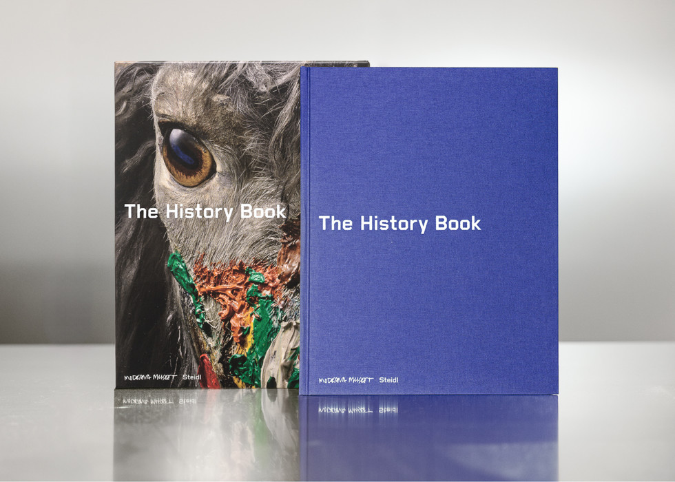 The History Book cover