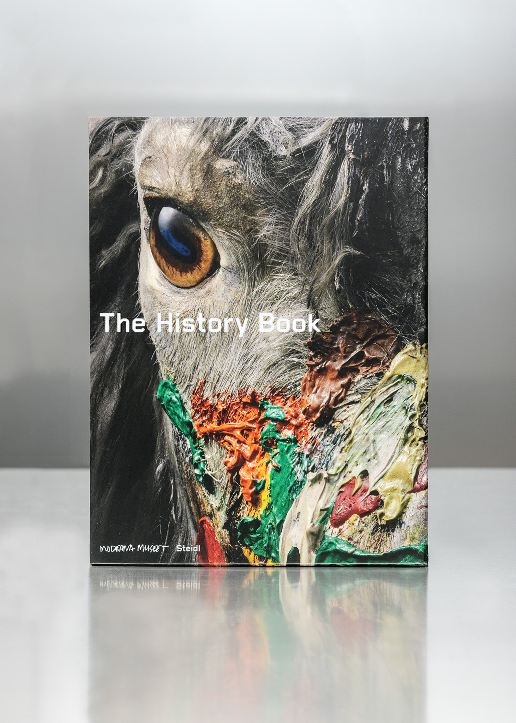 The History Book cover